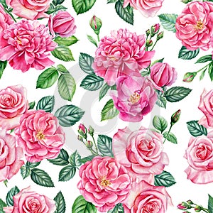 Floral Seamless pattern with leaves and flowers roses, Summer watercolor illustration, digital painting