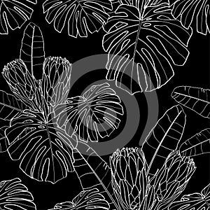 Floral Seamless pattern. Line exotic protea Sugarbushes and African flowers and monstera leaves. Textile composition, hand drawn