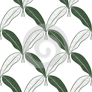 Floral seamless pattern with mango fruit leaves on white background, pastel vintage theme.