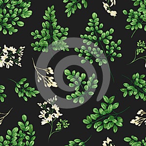 Floral seamless pattern with Miracle Tree or Moringa oleifera leaves and flowers. Natural backdrop with foliage and