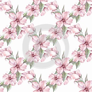 Floral seamless pattern with pink flowers 1