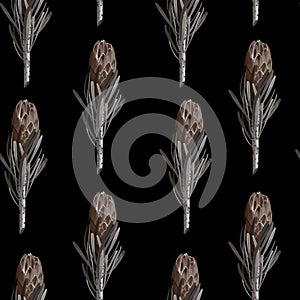 Floral Seamless pattern. Protea Sugarbushes brown flowers. Textile composition, hand drawn style print.