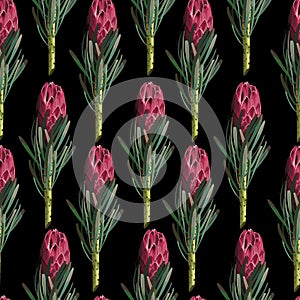 Floral Seamless pattern. Protea Sugarbushes flowers. Textile composition, hand drawn style print.