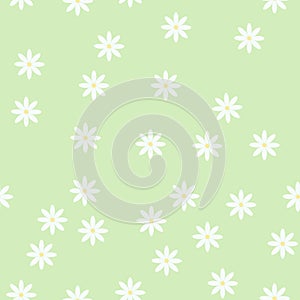 Floral seamless pattern simple ornament of white daisy flowers in random order on the light green background