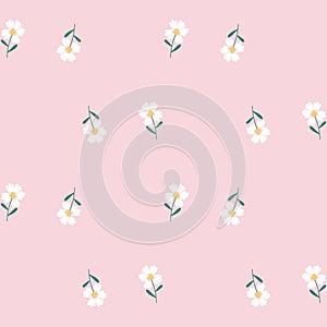 Floral Seamless Pattern of Sparse White Flowers on Pink Background