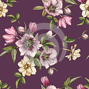 Floral seamless pattern with watercolor narcissus and hellebore