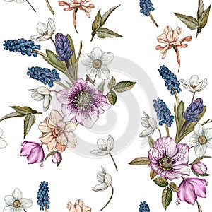 Floral seamless pattern with watercolor narcissus, muscari and hellebore