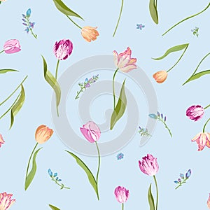 Floral Seamless Pattern with Watercolor Tulips. Spring Background with Blossom Flowers for Fabric, Wallpaper, Posters, Banners