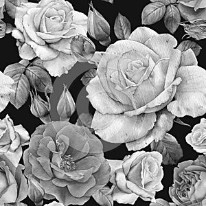 Floral seamless pattern with watercolor white roses. Monochrome