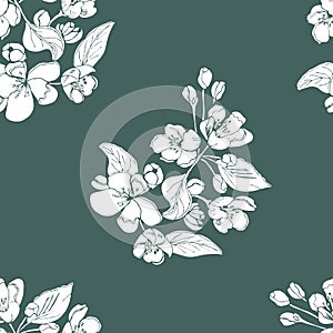 Floral seamless pattern of white blossoming brunch of apple tree flowers on dark green background. Hand drawn sketch.