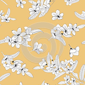 Floral seamless pattern with white flowers with leaves on beige background