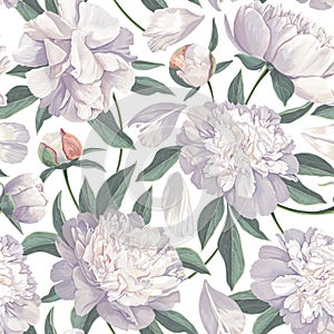 Floral seamless pattern with white peonies. Spring flowers background