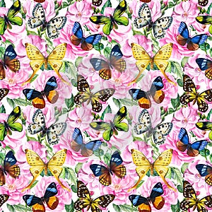 Floral seamless patterns, roses and butterflies pattern. Abstract background. Watercolor painting