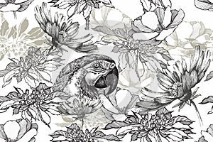 Floral seamless vintage background with parrot and flowers. Black white, hand drawn, vector illustration.