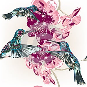 Floral seamless wallpaper pattern with hummingbirds and orchid f