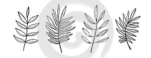 Floral Set of black hand drawn leaves and branches isolated on white. Collection of flourish elements for design. Vector