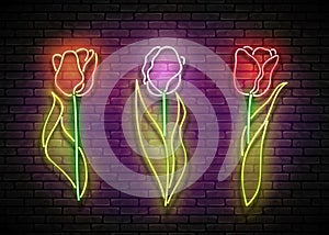 Floral Set of Bright Signboards with Tulips photo