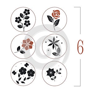 Floral set with flowers, leaves and butterflies silhouettes