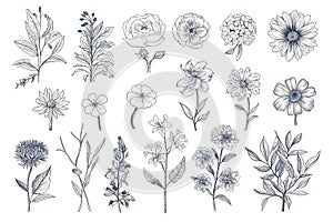 Floral set of hand drawn flowers. Botanical line art wallpaper with flowers, branches eaves. Pastel watercolor floral