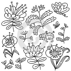 Floral set. Isolated flowers and leaves. Vector illustration with natural objects and plants and butterfy
