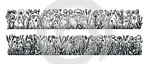 Floral set of meadow flowers and herbs, floral decorations. Wildflowers, wild grass sketch vector illustration