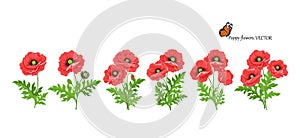 Floral set poppy flowers with stems buds and leaves for floral and wedding design