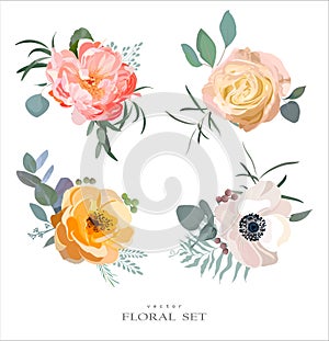 Floral set vector. Roses, peony, anemone ranunculus flowers, branches