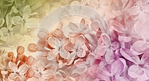 Floral spring background. Vintage watercolor background of lilac flowers. Close-up.