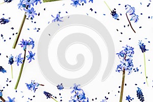 Floral spring frame with blue flowers and pink hyacinth flower on white background. Flat lay, top view. Copy space