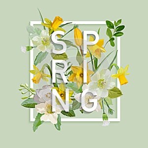 Floral Spring Graphic Design - with Narcissus Flowers