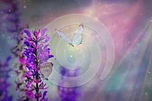 Floral spring natural landscape with wild pink lilac flowers on meadow and fluttering butterflies on blue sky background. Dreamy