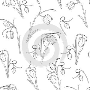 Floral spring seamless pattern. Tulip flowers black outline on white background. Stem, leaves, blossom, buds.