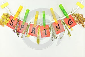 Floral spring season hanging wall decoration. Flowers and red colored paper cutouts clipped on a lace.