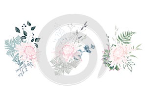 Floral spring summer card composition set for poster graphic design with pink Japanese chrysanthemum, succulents, fern and herbs