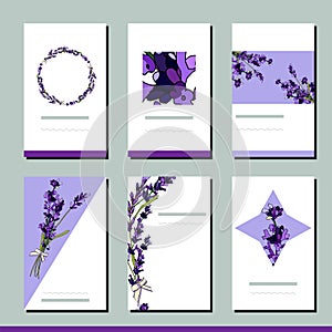 Floral spring templates with cute lavender bouquets. For romantic design, announcements