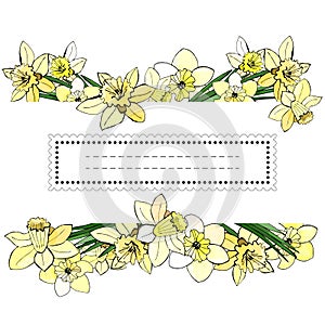 Floral spring templates of hand drawn yellow narcissus. Elements for romantic and easter design, announcements, greeting cards.