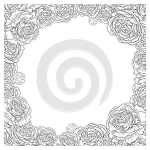 Floral square frame. Elegant flowers, roses, peonies vector. Decorative wedding card background template. graphic illustration
