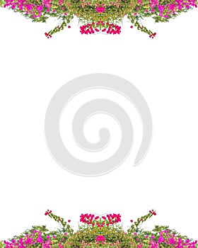 Floral Stationery White Background