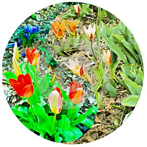 Floral symbol Yin-Yang. Flower bed of tulips watercolor. Pattern of Yin-Yang symbol from plants in oriental style. Yin Yang symbol