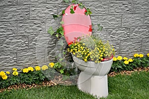 Floral toilet