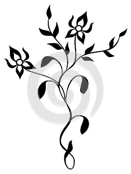 Floral tracery - black vector illustration photo