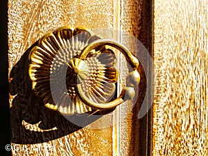 Floral traditional door handles on wooden doors