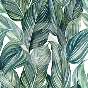 Floral tropical Seamless pattern of palm leaves, watercolor illustration, jungle design