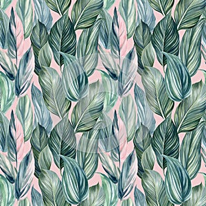 Floral tropical Seamless pattern of palm leaves, watercolor illustration, jungle design. Pink background