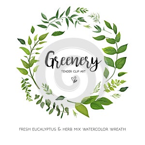 Floral vector card Design with green Eucalyptus fern leaves elegant greenery, herbs forest round, circle wreath beautiful cute ru