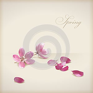 Floral vector cherry blossom flowers spring design