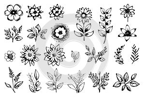 Floral vector element made wildflowers. Botanical flowers collection with pink flowers, leaf