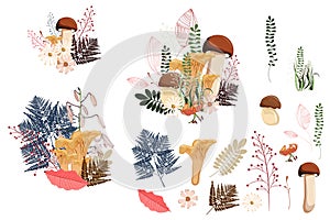 Floral vector elements four you design. illustration with leaves, fern nd mushrooms.