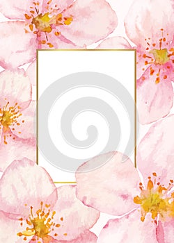 Floral vector frame with watercolor cherry or sacura flowers background