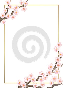 Floral vector frame with watercolor cherry or sacura flowers on white background